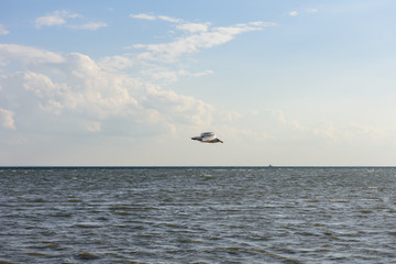 Seeking over the Sea