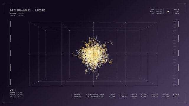 Display screen of rotating 3D mycelium, and related data. Reversible, seamless loop.