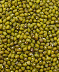 Heap of Mung beans on background