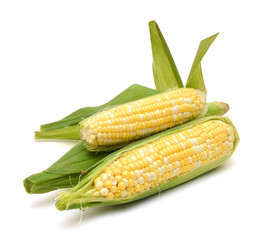 fresh corn fruits with green leaves isolated on white background
