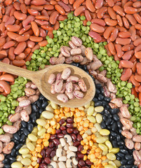 The ranks of different beans: kidney, mung, adzuki, pile cranberry, yellow sptit peas, black eye, preto. View from above.