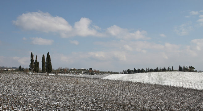 Chianti, Tuscany, Italy. Winter. Snowy Weather, Clouds Blue Sky. Vineyards, Trees