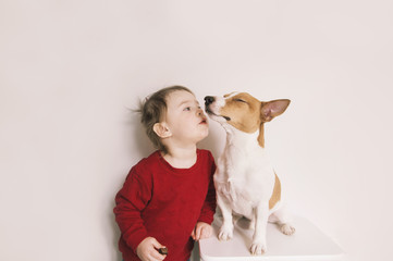 Child girl and jack russell dog have fun at home