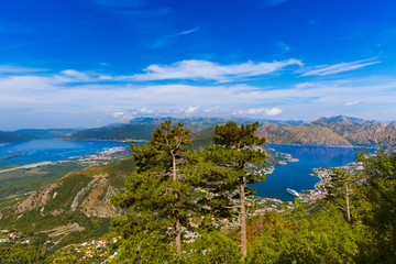 Obraz premium Kotor Bay - Montenegro