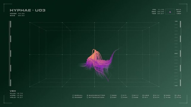 Display screen of rotating 3D mycelium, and related data. Reversible, seamless loop.