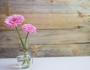 Two beautiful pink flowers in vase on wooden background.
