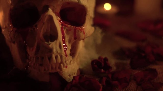 Bloody skull and ritual knife with candles in rose petals