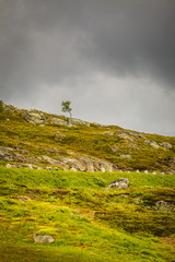 Fototapeta premium Haukeli mountains in summer
