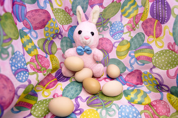 Easter bunny and raw eggs on a colored background
