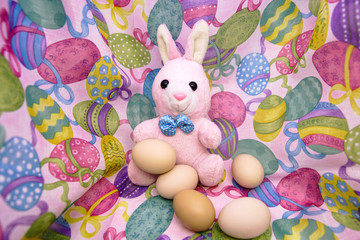 Easter bunny and raw eggs on a colored background