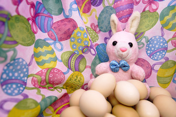 Easter bunny and raw eggs on a colored background