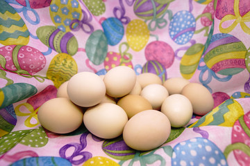 Raw eggs on colored background
