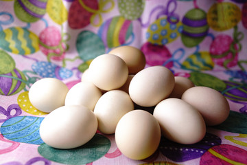 Raw eggs on colored background
