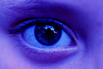 lila auge