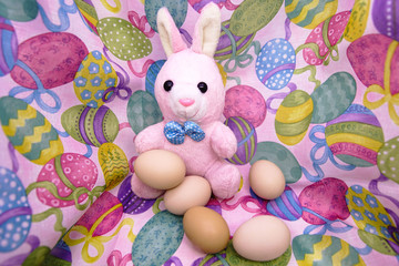 Easter bunny and raw eggs on a colored background