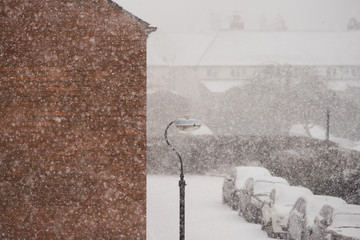 snowy street in blizzard with line of cars a lamp and a building