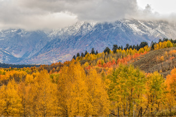 Teton Scenic Landscape in Autumn