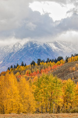 Teton Scenic Landscape in Autumn