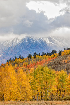 Teton Scenic Landscape in Autumn © natureguy