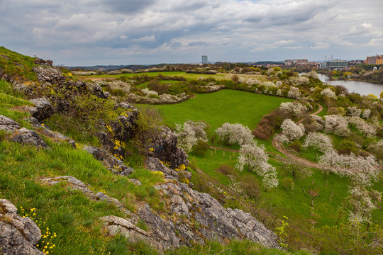 Steep rocks and hills of park Divoka Sarka in Prague, spring time. Wild nature park in the city.