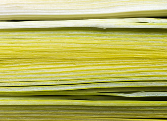 Three slices of leeks lengthwise cut