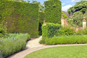 Landscaped garden with narrow passage path through trimmed hedge, flowering purple lavender and evergreen shrubs, on a sunny summer day in an English countryside . - 194318689