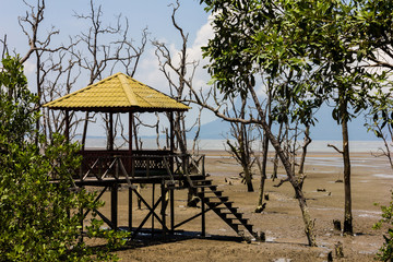 Tiny cabin in mangrove forest in Bako national park in Kuching, Borneo
