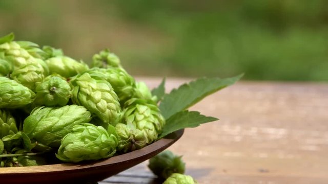 hops into wood bowl with plantation in background.