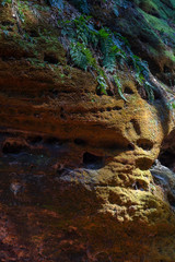Sandstone rocks close up structure in the forest. Sunny summer day. Hruba skala or Bohemian Paradise park.