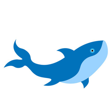 Large swimming fish, blue fish
