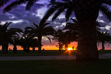 Colorful sunset with palm tree silhouettes and people enjoying great weather outdoors by Meloneras beach walk in Gran Canaria, Spain. Summer vacation, travel destination concept