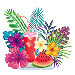 tropical cocktail with watermelon fruit and decoration floral vector illustration design