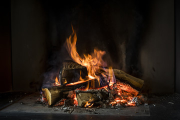 Fire of wood on a black background