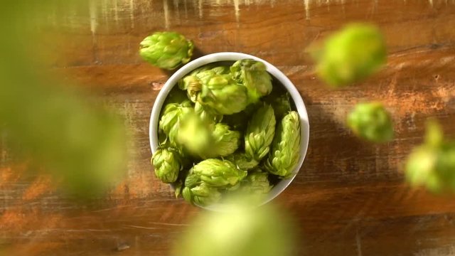 hops falling into white bowl - top view in slow motion.