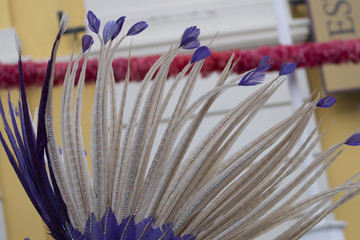 Colorful feathers of Carnival suit