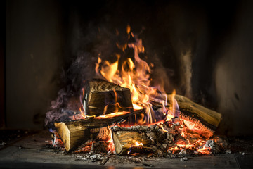 Fire of wood on a black background