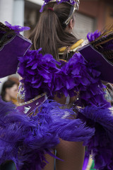 Carnival (Carnaval) Parade festival dancer