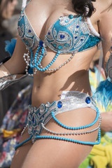 Carnival (Carnaval) Parade festival dancers