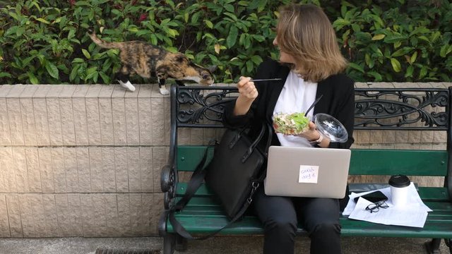 Happy Businesswoman Sharing Lunch Food With Stray Cat Outdoors
