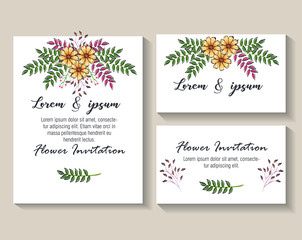 floral decoration flyers postcards vintage style vector illustration design