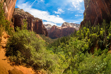 Naklejka premium Zion National Park, USA
