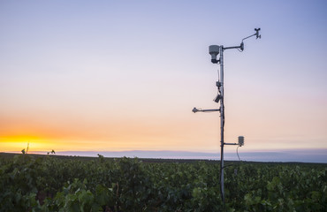 Pole weather recording instruments in a vineyard at Tierra de Barros Region