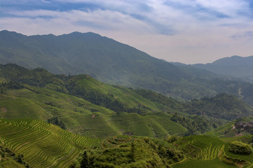 Fototapeta na wymiar View of the Longsheng Rice Terraces near the of the Dazhai village in the province of Guangxi, in China, with a female farmer working the land; 