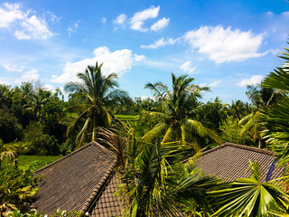 Fototapeta na wymiar Countryside view in Ubud, Bali