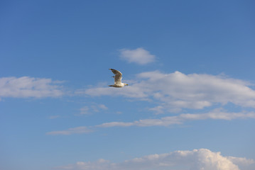 Flying in Clouds