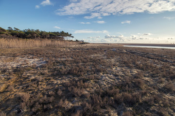 low tide marshland