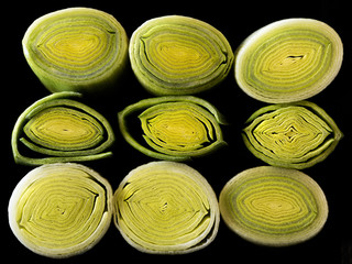 Cross-section of leek stem and leaves.