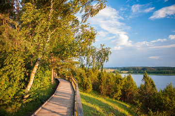 Juniper valley in Kaunas lagoon regional park, Arlaviskes, Kaunas county, Lithuania. Valley is decorated with a variety of plants in various colours, shapes, smells. Some of them are extremely rare. 