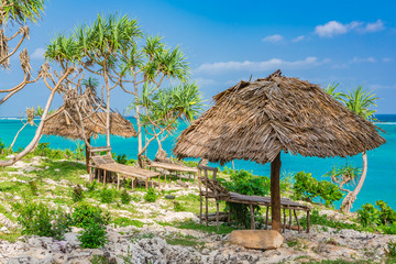 Fototapeta na wymiar Beach view. Nungwi, Zanzibar, Tanzania.
