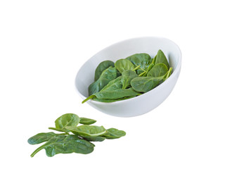 Spinach leaves in the white ceramic bowl